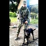 Albert Mondragon - @mondragonalbert - Instagram