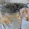 Alberto Morel - @alberto.morel4 - TikTok