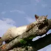 albertomurdock - @albertomurdock - TikTok