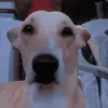 Murdock Alberto - @murdockalberto - TikTok