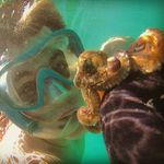 Albert Navarro - @albert_n_gil - Instagram
