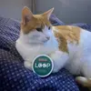 Albert Næss - @albertnesss - TikTok