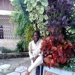 Albert Nicol - Facebook