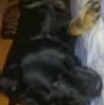 Albert Nowicki - Facebook