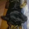 Albert Nowicki - @albert.nowicki4 - TikTok
