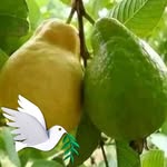 Adalbert Nyembo - @nyemboadalbert - Instagram