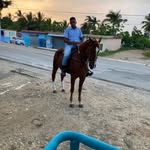 Albert Ortiz - @albert_ortiz - Instagram