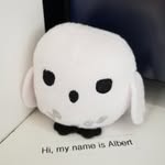 Albert Owl - @owl_albert - Instagram