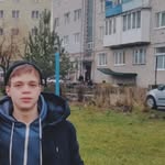 Albert owl - @owlalbert - Instagram