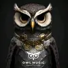 Night Owl-project design - @albertowl95 - TikTok