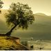 Albert Palacio3163 - Facebook