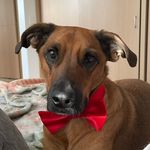 Pepper Alberto - @el_pepper_alberto - Instagram
