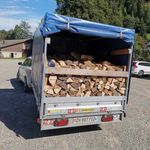 Albert Peter - @albert.peter.56614 - Instagram