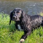 Albert.Pond - @albert.pond3 - Instagram