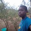 user53696389412 - @albert.pride - TikTok