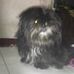 Albert Louise Quan - Facebook