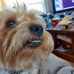 Tim Albert Quan - Facebook