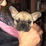 Albert Regan - @albertreganadventures - Instagram