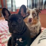 Albert Renzo - @ajrnj - Instagram