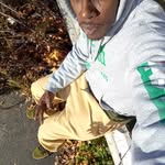 Albert Respress - @albert.respress - Instagram