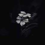 Joseph Albert Revilla Locquiao - @albertlocquiao - Instagram