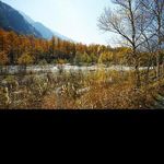 @albert_reynolds - Instagram