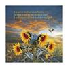 Sue Albert Robbins - @user2746275992435 - TikTok
