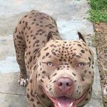 Albert Robinson - @robinson.albert - Instagram