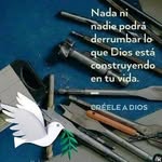 Albert Roman - @gonzalezalbertoroman - Instagram