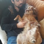 Albert Roman Sala - @albert.malparit.roman - Instagram