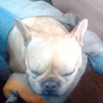 Albert Rosenberg - Facebook
