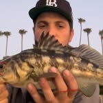 Frank Albert Rossi - @frankyouforfishing - Instagram