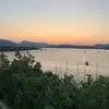 Albert - @albert.sandbergsc - TikTok
