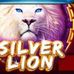 Albert Siu - Facebook