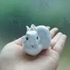 Albert Siu - @0 - TikTok