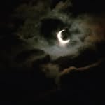albert siu - @albertsiu - Instagram