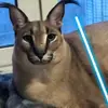 albertsiuhov - @albertsiuhov - TikTok