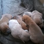 Albert_soo_cute - @albert_soo_cute - Instagram