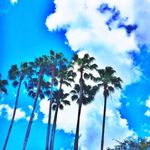 Albert Stahl - @stahl1965 - Instagram
