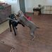 Albert Steele - Facebook