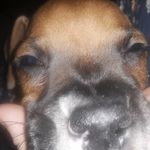 Albert Steele - @zip.zoe7 - Instagram