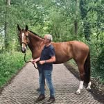 Albert Steenbergen - @albert.steenbergen - Instagram