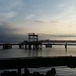 Albert Steenkamp - @albertsteenkamp - Instagram