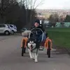 albertstocker373 - @albertstocker373 - TikTok