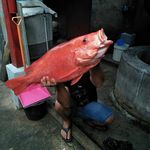 Albert Susilo - @albert.susilo.522 - Instagram