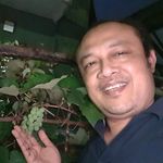 Albertus Susilo Handoko - @hands.albert - Instagram