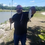 albert tenorio - @tenorio832 - Instagram