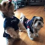 Albert Tenorio - @altenz1969 - Instagram