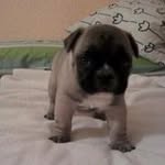 Albert Tarin Tirado - @albert.tt88 - Instagram