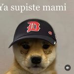 @alberttop_u - Instagram